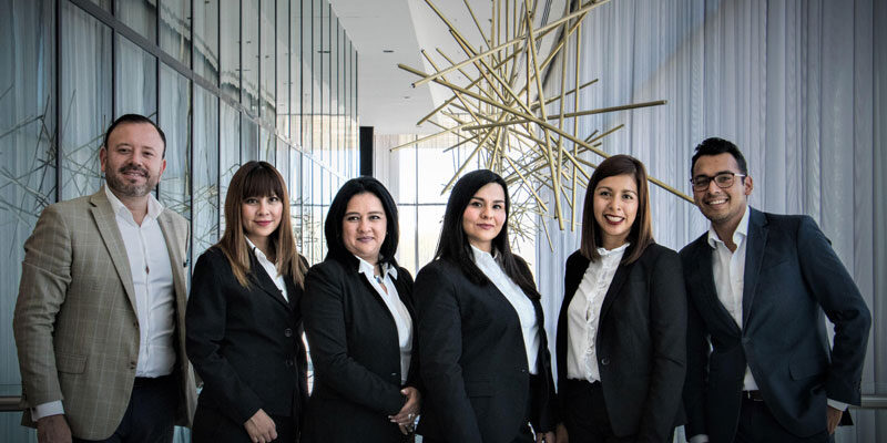 professional-ownership-team